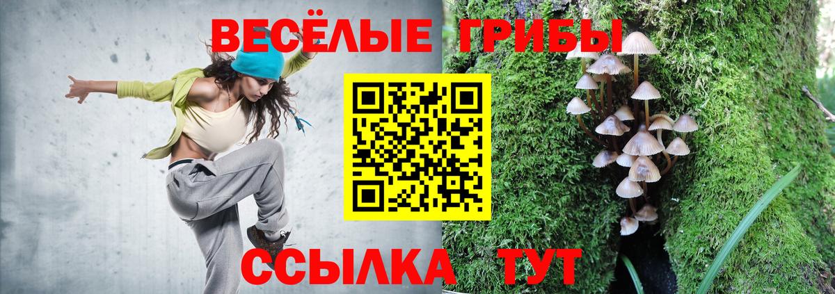 Галлюциногенные грибы GOLDEN TEACHER Углич