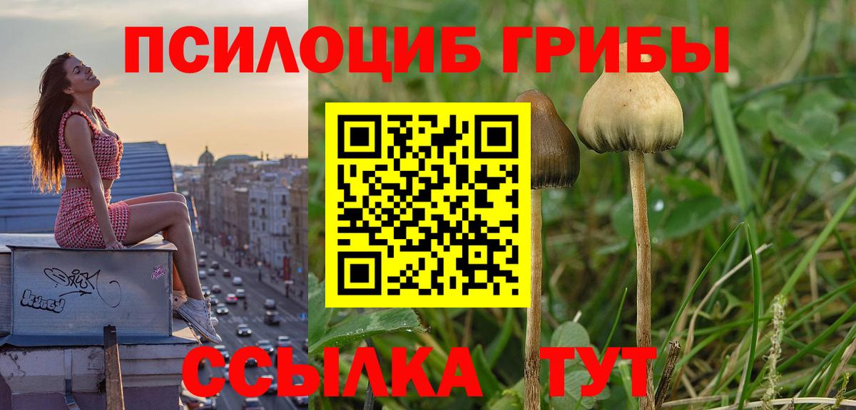 Углич  Псилоцибиновые грибы Psilocybe  Галлюциногенные грибы Magic Shrooms  Вход с VPN 
